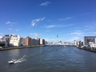 image1.jpeg