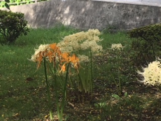 image5.jpeg