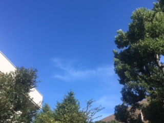 image3.jpeg