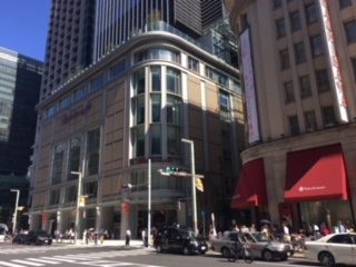 image1.jpeg
