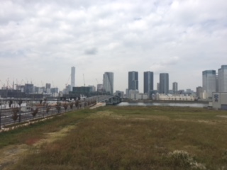 image2.jpeg