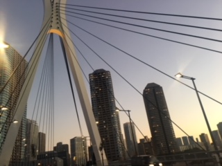 image1.jpeg