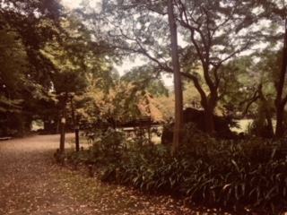 image2.jpeg