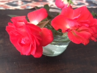 image1.jpeg