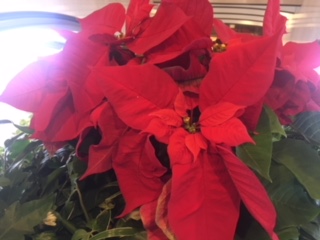 image1.jpeg
