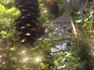 image1.jpeg