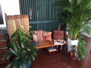 image5.jpeg