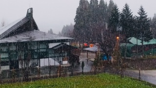 image5.jpeg