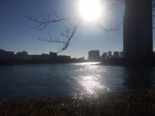 image1.jpeg