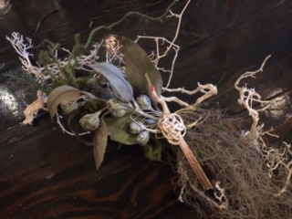 image4.jpeg