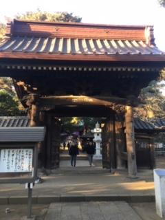 image1.jpeg