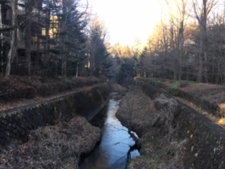 image2.jpeg