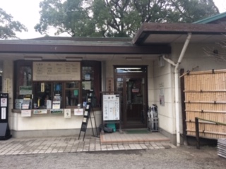 image1.jpeg
