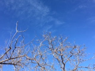 image1.jpeg