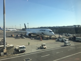 image1.jpeg
