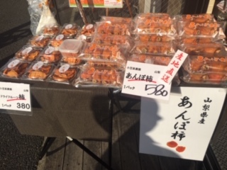 image5.jpeg