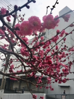 image1.jpeg