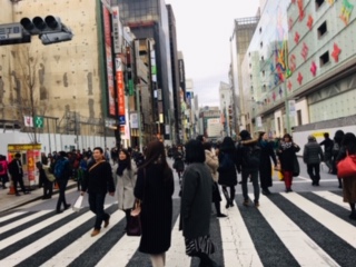 image1.jpeg