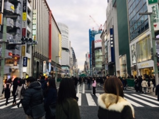 image2.jpeg