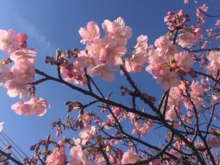 image4.jpeg