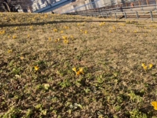 image5.jpeg