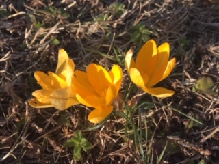 image6.jpeg