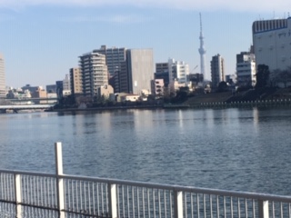 image7.jpeg