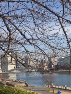 image8.jpeg