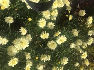 image1.jpeg