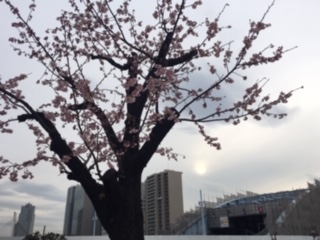 image5.jpeg