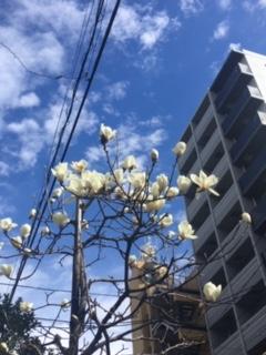 image1.jpeg