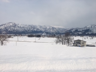 image2.jpeg