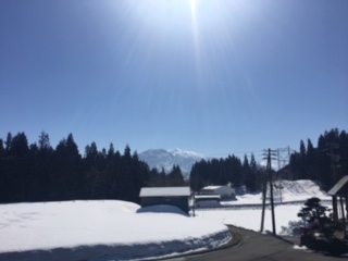 image1.jpeg