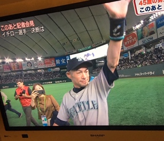 image4.jpeg