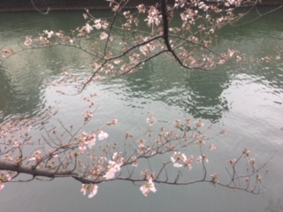 image1.jpeg