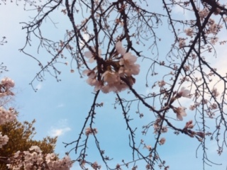 image1.jpeg