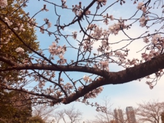 image2.jpeg