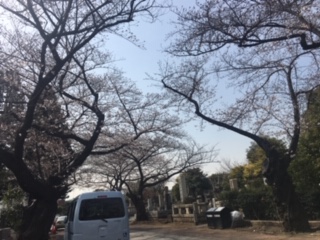 image4.jpeg