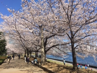 image1.jpeg