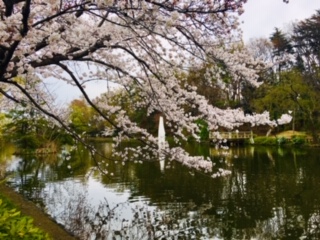 image1.jpeg