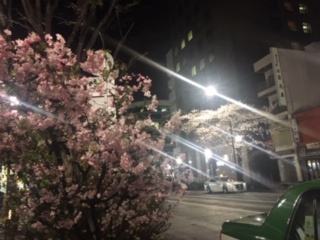 image1.jpeg