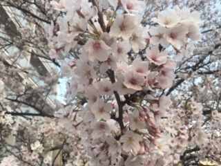 image1.jpeg