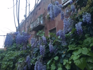 image1.jpeg