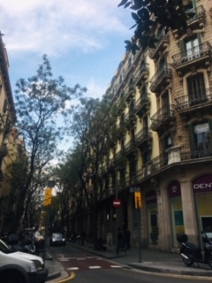 image1.jpeg
