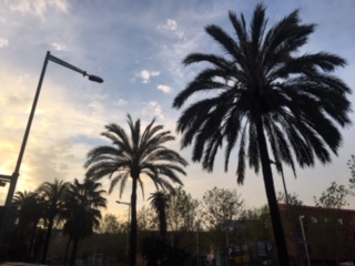image4.jpeg