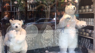 image7.jpeg