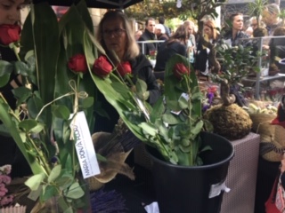 image2.jpeg