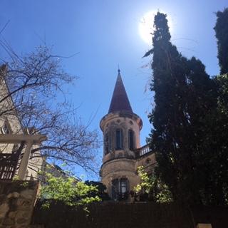 image1.jpeg