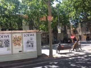image1.jpeg