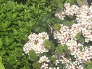 image2.jpeg
